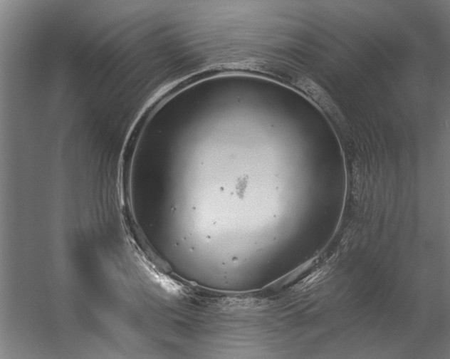 X0000057101036200509121003