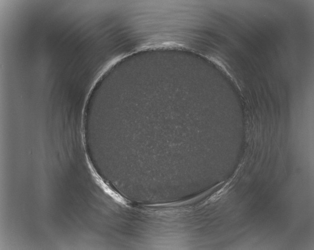 X0000057101038200509121003