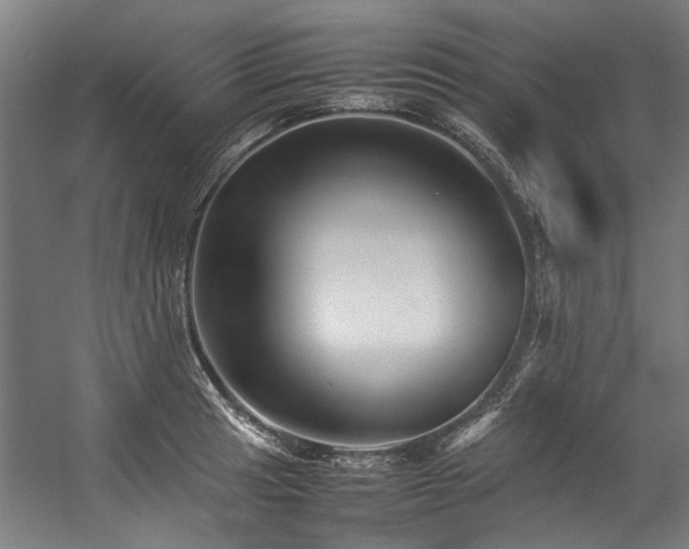 X0000057101041200509121003