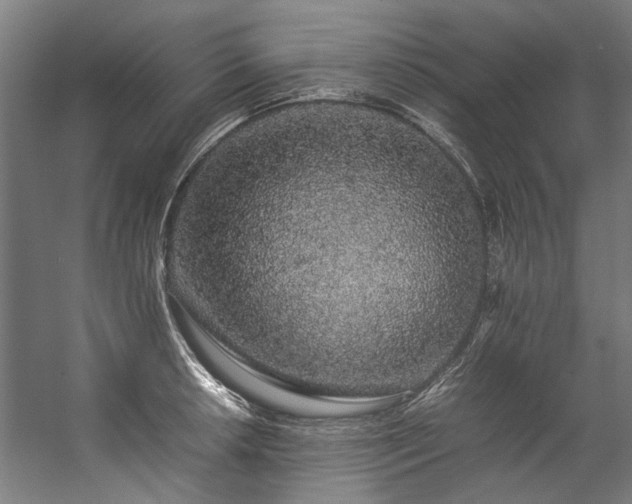 X0000057101042200509121003