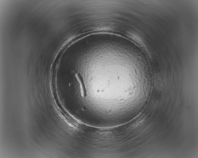 X0000057101043200509121003