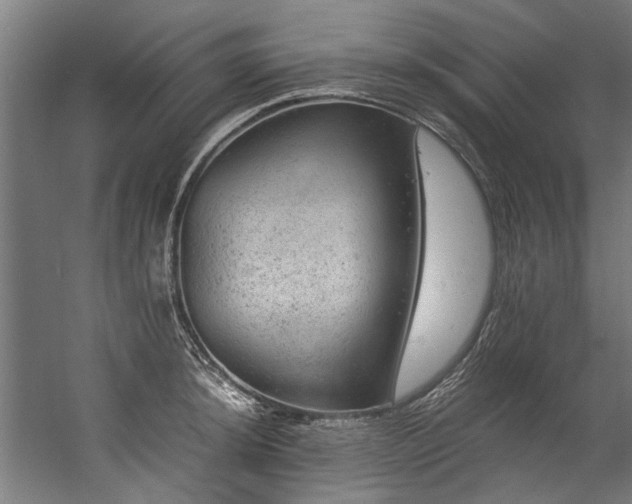 X0000057101044200509121003