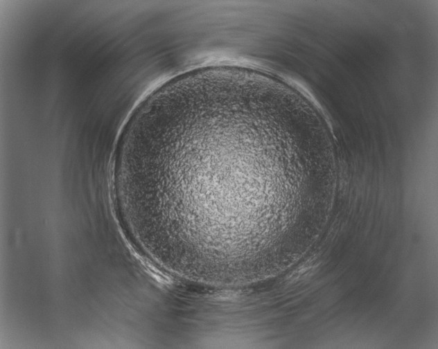 X0000057101048200509121003