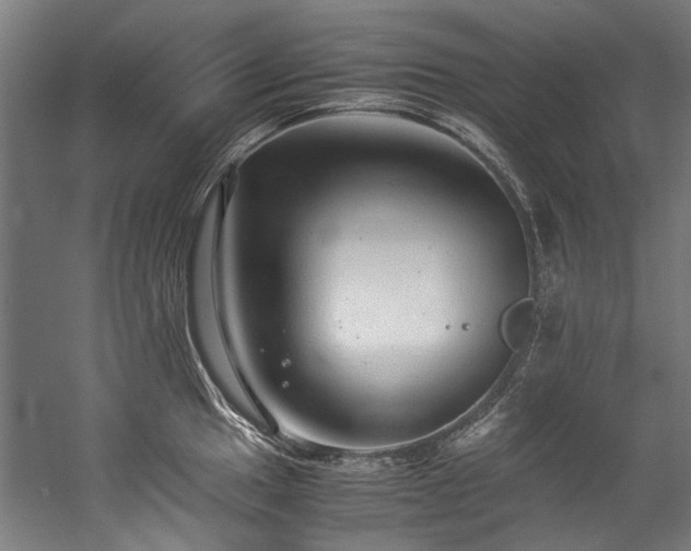 X0000057101049200509121003