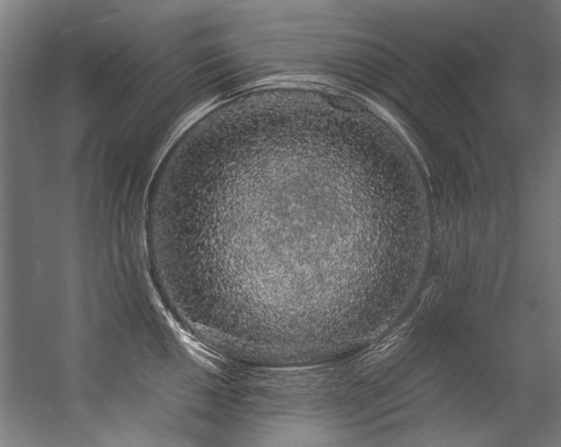 X0000057101050200509121003