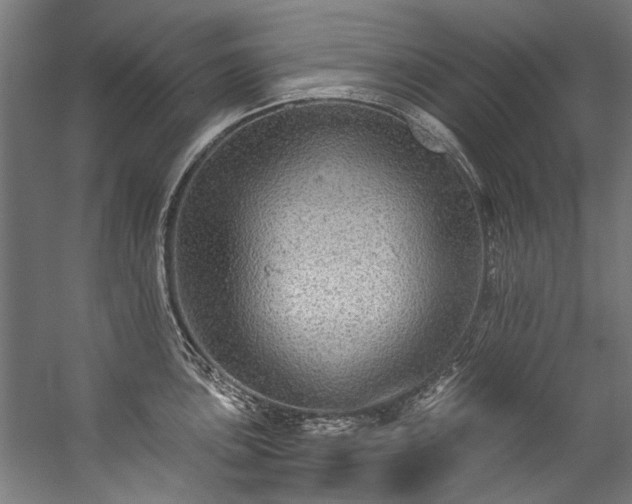 X0000057101051200509121003