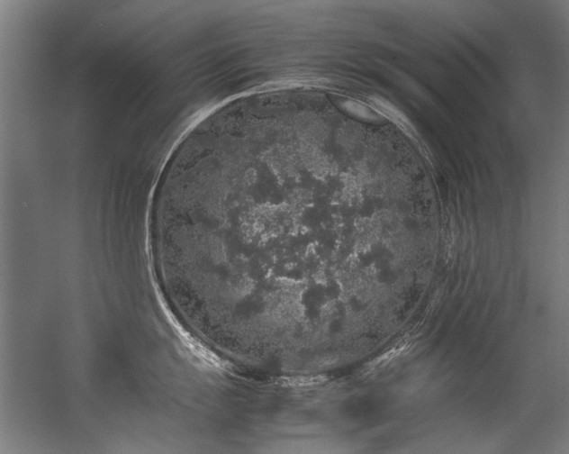 X0000057101055200509121003