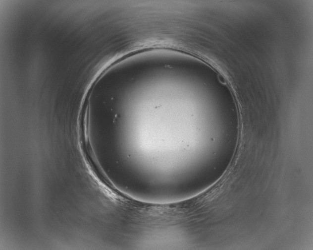 X0000057101056200509121003