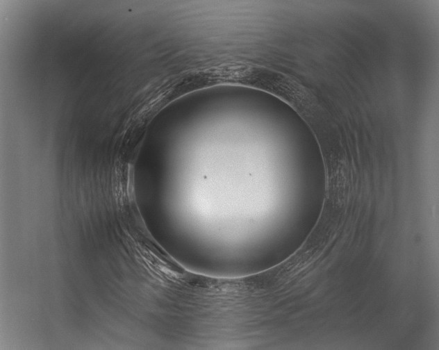 X0000057101058200509121002