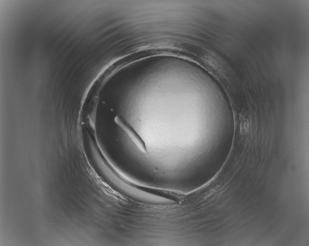 X0000057101068200509121002