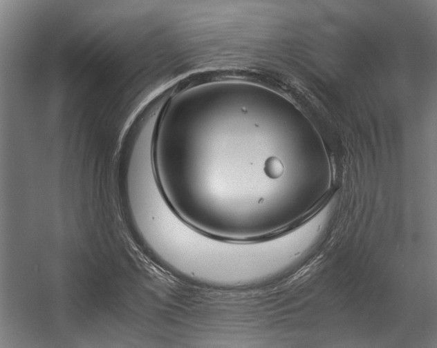 X0000057101069200509121002