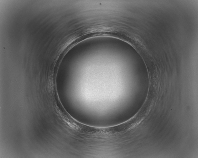 X0000057101073200509121002