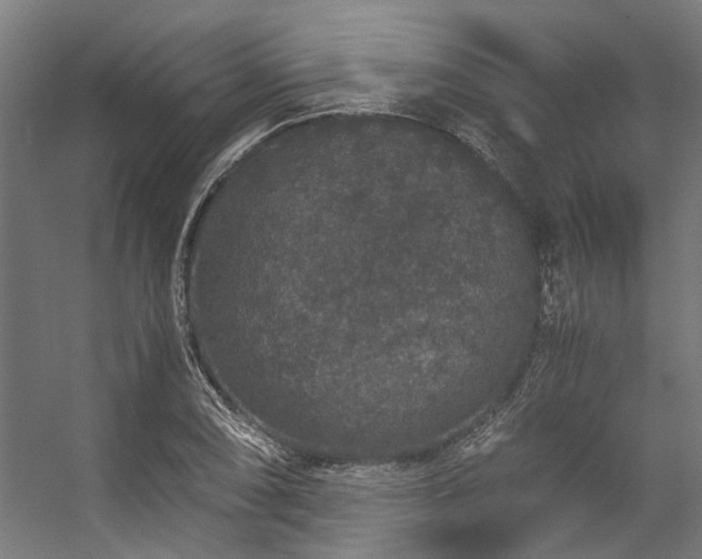 X0000057101074200509121002