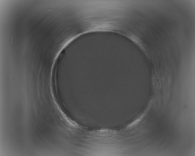 X0000057101077200509121002