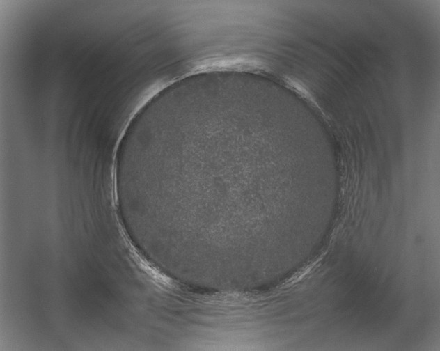 X0000057101079200509121002