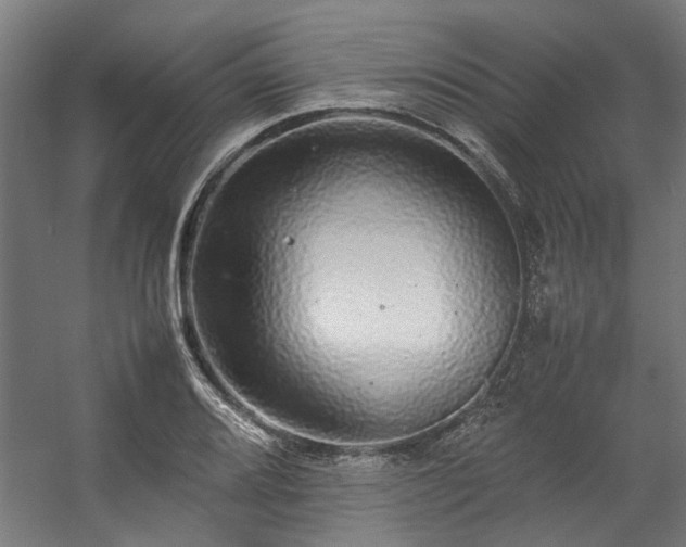 X0000057101080200509121002