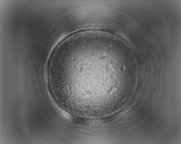 X0000057101083200509121002