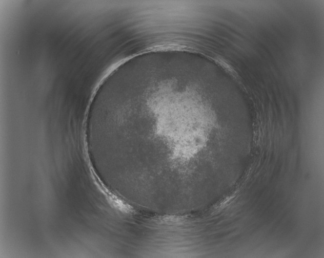 X0000057101086200509121002