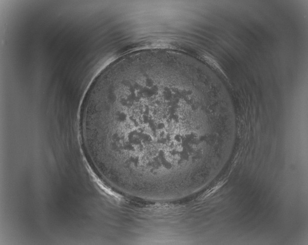 X0000057101087200509121002