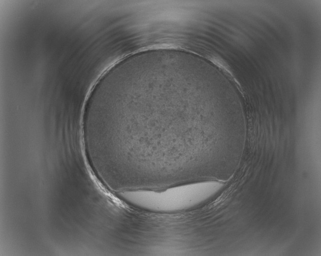 X0000057101088200509121002