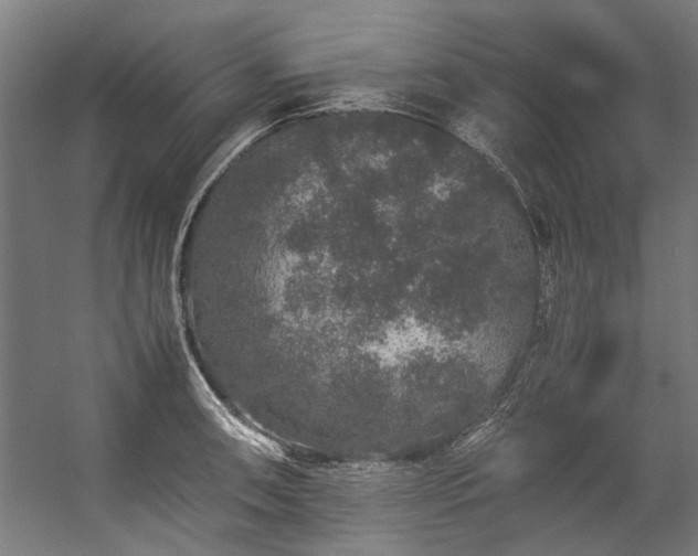 X0000057101090200509121002