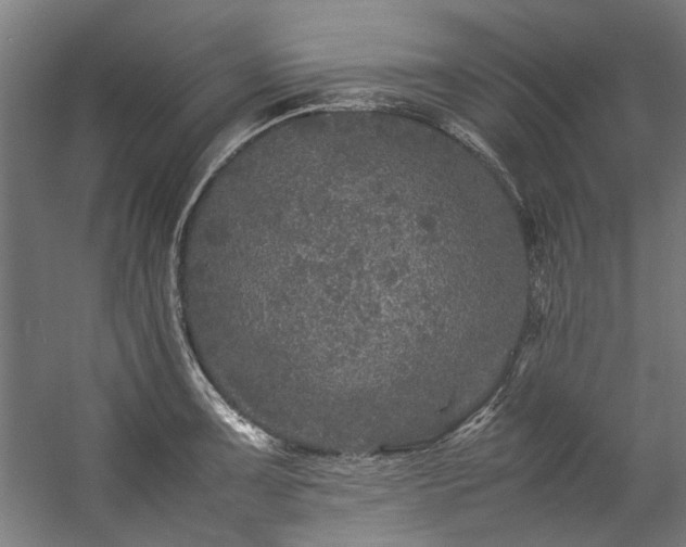 X0000057101091200509121002