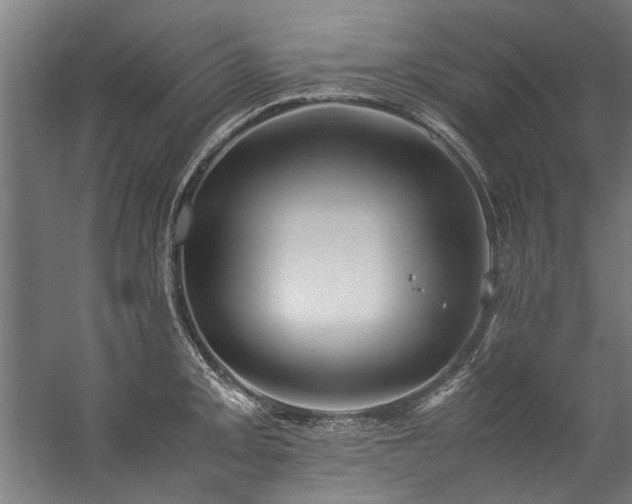 X0000057101093200509121001