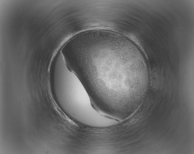 X0000057101096200509121001