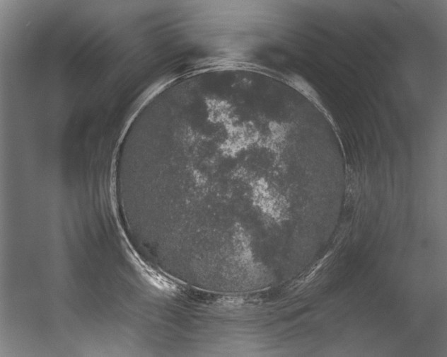 X0000057101098200509121001