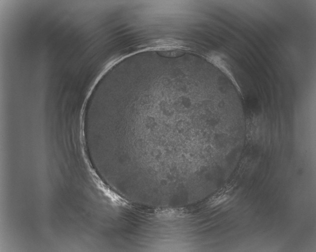 X0000057101099200509121001