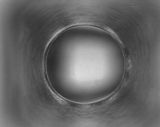 X0000057101101200509121001