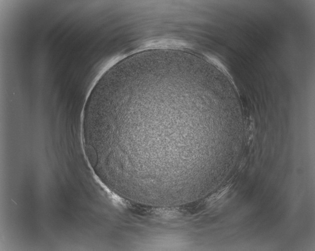 X0000057101103200509121001