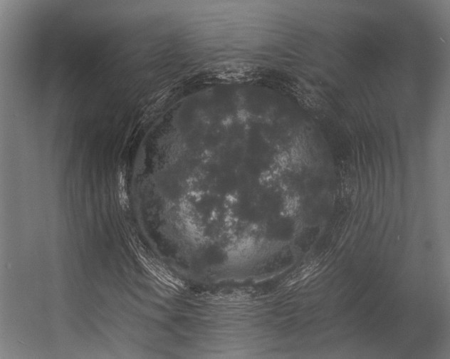 X0000057101106200509121000