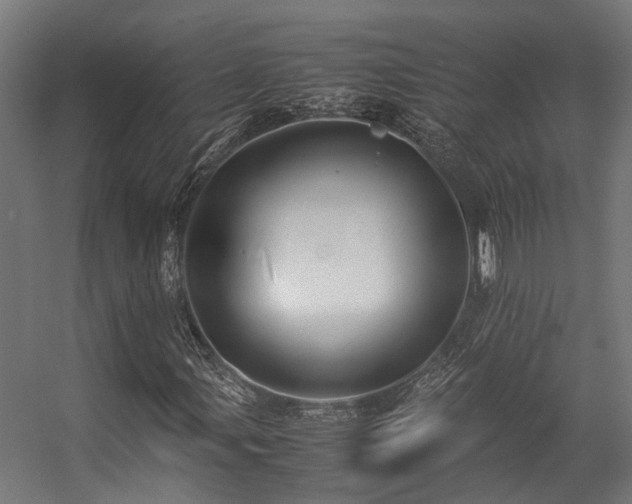 X0000057101107200509121001