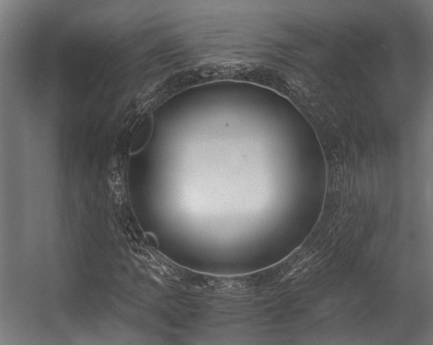 X0000057101109200509121001