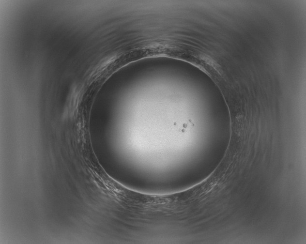 X0000057101111200509121001