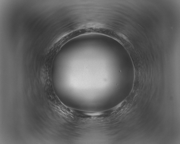 X0000057101112200509121001