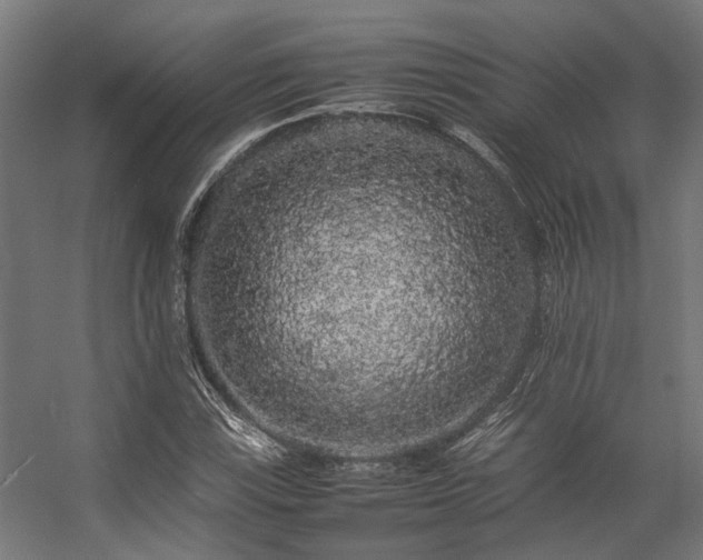 X0000057101115200509121001