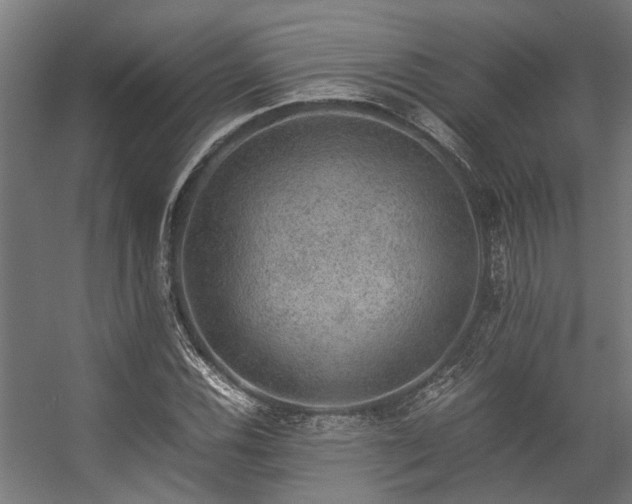 X0000057101116200509121001