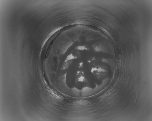 X0000057101117200509121001