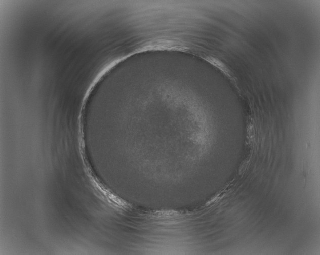 X0000057101120200509121001