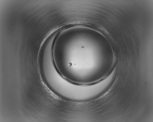 X0000057101122200509121001