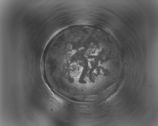 X0000057101125200509121001