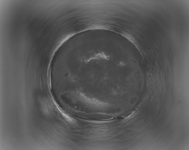 X0000057101127200509121001