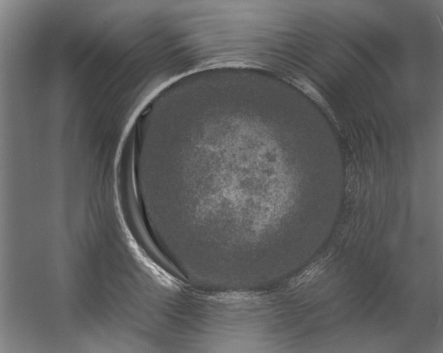 X0000057101132200509121001