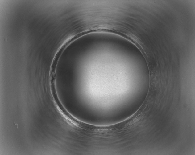 X0000057101135200509121001