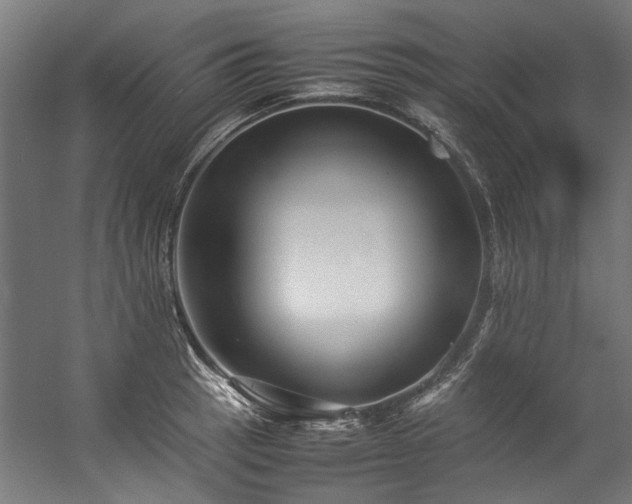 X0000057101137200509121001