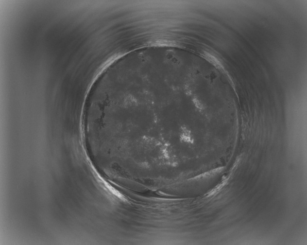 X0000057101141200509121001