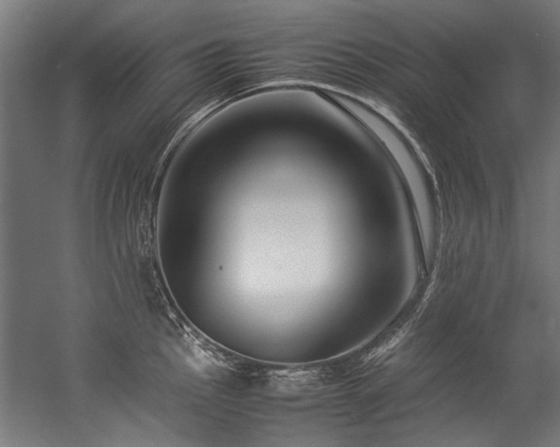 X0000057101145200509121001