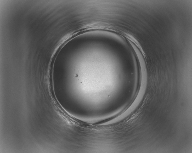 X0000057101146200509121001